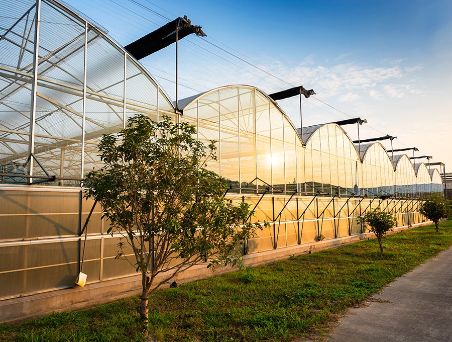 La'Moussawi ® Ruime En Opvouwbare Schoenopbergdozen Voor Onder Het Bed Met Versterkte